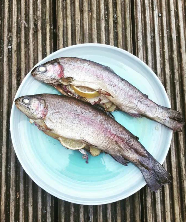 Baked Stuffed Trout with a Cucumber & Dill Salad