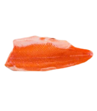Large Trout Fillets Pin Boned