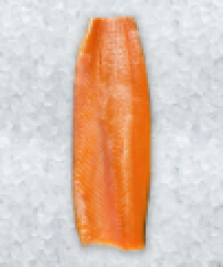 Large Trout Fillet